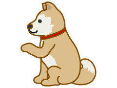 【画像】巨胸女子高生「お手！」犬「ぽよんｗｗw」