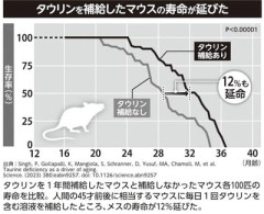 【衝撃】タウリン『老化防止効果エグいです』『マウスの寿命が12％伸びました』 ← これ飲まない理由
