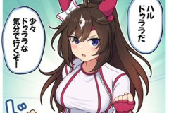 【ウマ娘】このドゥララちゃんなら113戦113勝しそう。