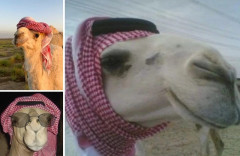 世界各国を象徴する動物＆帽子がセットになってる画像を見せてくれ！