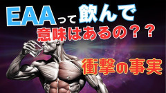 バカ「筋トレの時はEAA飲んで素早くアミノ酸を」ワイ「プロテインでよくね？」