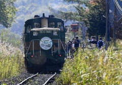 【撮り鉄】線路脇の木をチェーンソーで切った男を逮捕…「くしろ湿原ノロッコ号」ラストランを目前