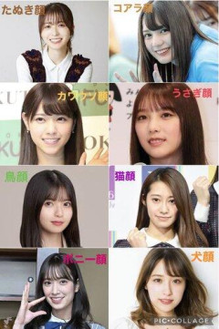 【画像】カワウソ顔、可愛すぎる