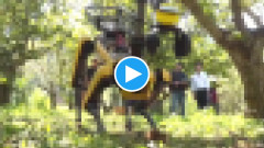 【悲報】◯◯◯の仕事、ロボットに奪われそう😢