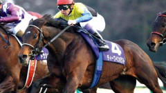 【悲報】競馬を見始めた時の武豊さんの馬といえば←これで年齢がわかるらしいｗｗｗｗｗｗｗｗｗｗ