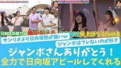 ジャンボさんの日向坂宣伝が止まらない！頭が上がらない！【KO ZH EN ES RU SUB】#한국어 자막
