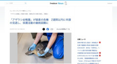 オランダの「アザラシ幼稚園」が破産の危機　2週間以内に申請の見通し