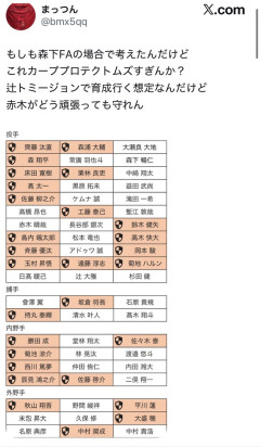 【悲報】カープファン、森下FAに備えてプロテクトリストを作成してしまう