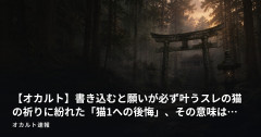 【オカルト】書き込むと願いが必ず叶うスレの猫の祈りに紛れた「猫1への後悔」、その意味は…