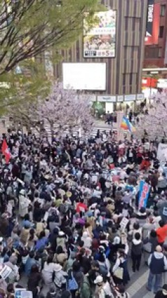 【エコチェン】れいわ信者「皆さん高市やめろデモ効いてますとうとうメディアによる印象操作なくなりました」桜満開の動画をドヤ顔ポスト