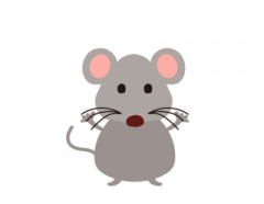 【動画】東京・新宿のネズミ、限界突破wwwwwwwww