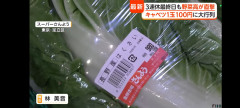 【悲報】白菜、1玉1000円に高騰→スレ民「もう鍋できない」の悲鳴相次ぐｗｗｗ