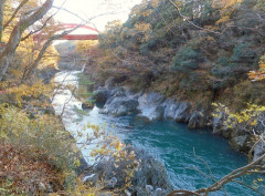 橋の上で危なそうにしている女性を見つけた。→直感に従って急いで駆けつけたが…