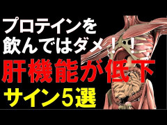 【悲報】ネット記事「プロテインは摂り過ぎると賢臓、肝臓に負担かかる」