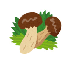 【画像】松茸を切ったら虫さんパクパクしてて草ぁ！