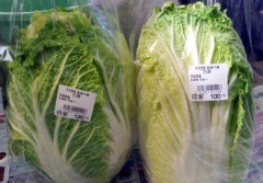【悲報】白菜ひと玉1000円👈これｗｗｗｗｗｗｗｗｗｗ