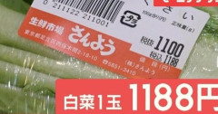 白菜ひと玉1000円👈これ