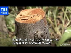 【悲報】切り鉄（23）さん、逮捕されてしまうｗｗｗｗｗｗｗｗｗｗ