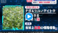 【怖報】千葉さん、うっかり地球上最悪の侵略植物を拡散してしまう