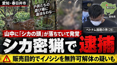【速報】グエンさん、子供の遊び場に括り罠を仕掛ける「生首が落ちていて発覚」