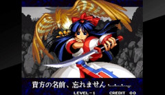 サムライスピリッツというゲームに『ナコルル』っていたやん？
