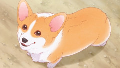 「飼い犬、獣医に老衰で余命があと数日って余命宣告されたから最期にマックのポット食わせるわ」 → 凄いことになるｗｗｗｗｗｗ