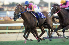 【悲報】テイエムオペラオーさん、今になって「さほど強い馬ではなかった」という風潮がXで広まるｗｗｗｗｗｗｗｗｗｗ