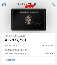 「嫁がエルメス好きなせいで」格闘家・久保優太、10代妻の“600万円”カード支払額公開に「金づるにされてない？」ファン心配
