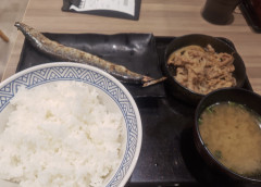 【悲報】吉野家のさんま定食、秋刀魚の向きがめちゃくちゃで炎上