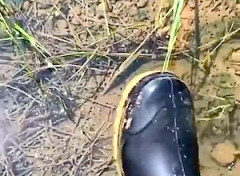 【動画】この水溜りには決して足を踏み入れてはいけません(((ﾟДﾟ)))