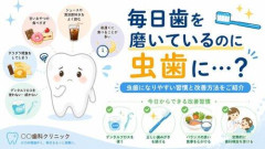 【困惑】虫歯ってどうやったら防げるんやｗｗｗｗｗｗｗｗｗｗｗ