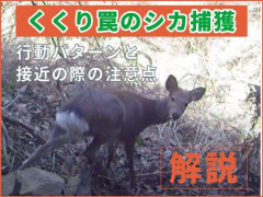 【悲報】無許可で狩猟を行った男さんを逮捕「許可がいるとは知らなかった」と容疑を否認ｗｗｗｗｗｗｗｗｗｗ