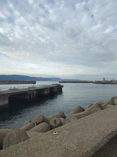 海来たんやが