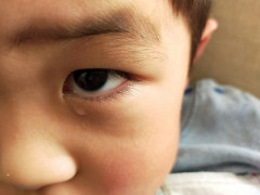 【警告】ASDの人は『勝ち負け』への強いこだわりを発揮する傾向。負けると気持ちを切り替えられず強い負の感情に囚われ続ける