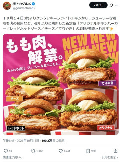 【画像】マクドナルド、チキン屋になる