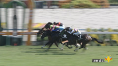 【紫菊賞】ビップヴィーナス＆松若騎手がｷﾀ━━━━(ﾟ∀ﾟ)━━━━!!