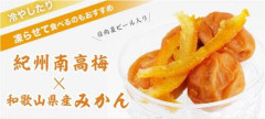 【悲報】「和歌山県」、みかんと南高梅しかない
