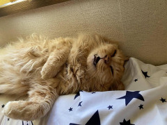 弟嫁が無断で弟と一緒に引越ししやがった。私が里帰り出産するとき上の子の面倒を見てくれる約束だったのに。私の子供をどうしてくれる。病気がちの母と、寝たきりの父を見捨てる気？