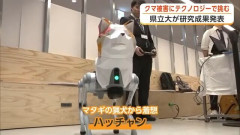 秋田の大学、クマ被害対策用の「ローポリ秋田犬ロボ」を開発ｗｗｗｗｗ