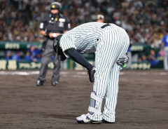 阪神に非常事態…佐藤輝明＆森下翔太負傷にナイン動揺「どうするのがいいか分からない」