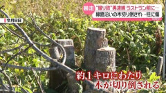 撮り鉄「いい写真を撮りたい」と無断大量伐採 長さ1km、通信ケーブルにも深い刃物傷