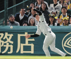 昨日の阪神・N-高寺の落球ゾーンｗｗｗｗｗｗｗｗｗｗｗｗｗ