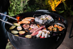 X民「敷地内に住み着いている野良猫が当たり前のようにBBQに参加してくる」→ 別の人「あの、その猫……」