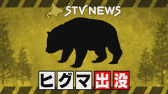 なぜ道民はヒグマに襲われないのか