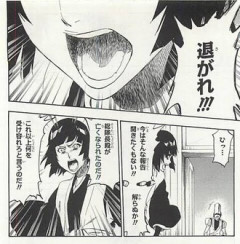 【BLEACH】砕蜂ちゃん可愛い
