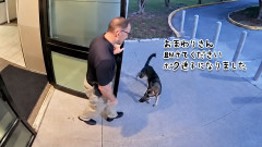 「おまわりさん、ボク迷子です」警察に助けを求めた犬、飼い主と無事再会