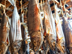 外国人「日本の料理はアートだ」スゴウマジャパンが塩漬けの鮭や天ぷらを紹介してる