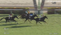 【競馬】富士Sは吉村誠騎乗のシュガークンがV