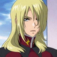 【ガンダムSEED】こいつ何だったんだよ