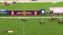 【競馬】英チャンピオンSはオンブズマンが勝利！2着にカランダガン